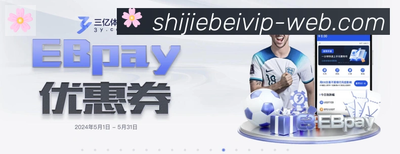 登录器